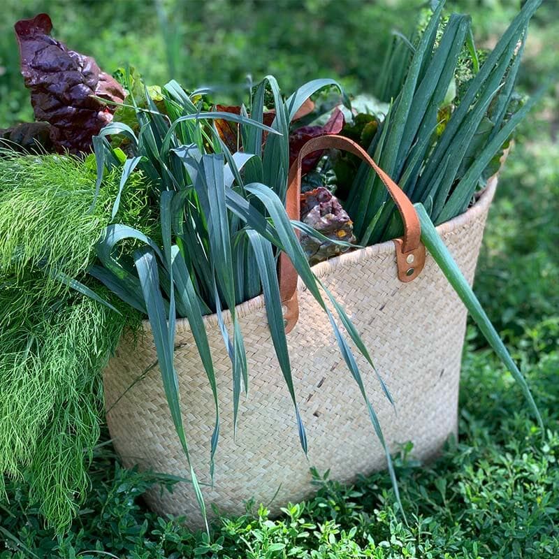 Choisir la taille du panier