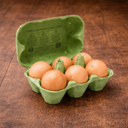 Boite de 6 Oeufs